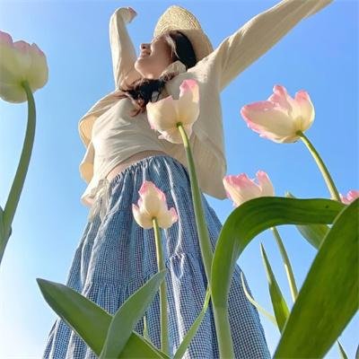 面目全飞